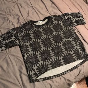 Black and White Sunflower crop
